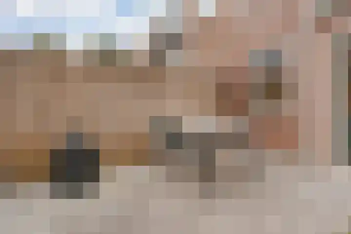 Fregatstraat 62 Utrecht thumbnail 18