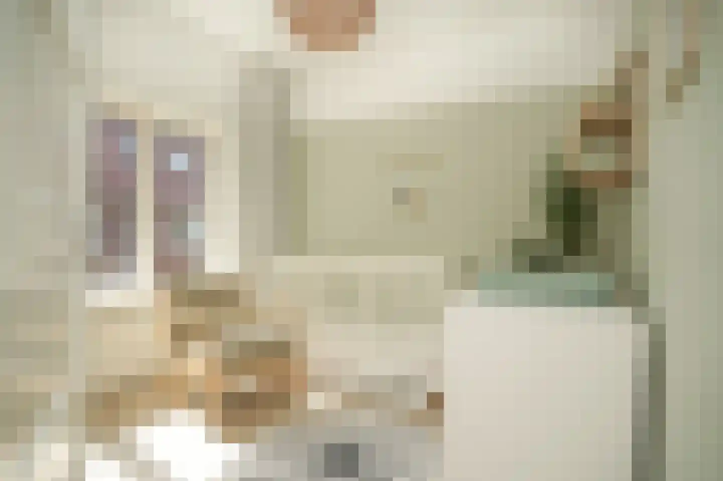 Fregatstraat 63 Utrecht thumbnail 15