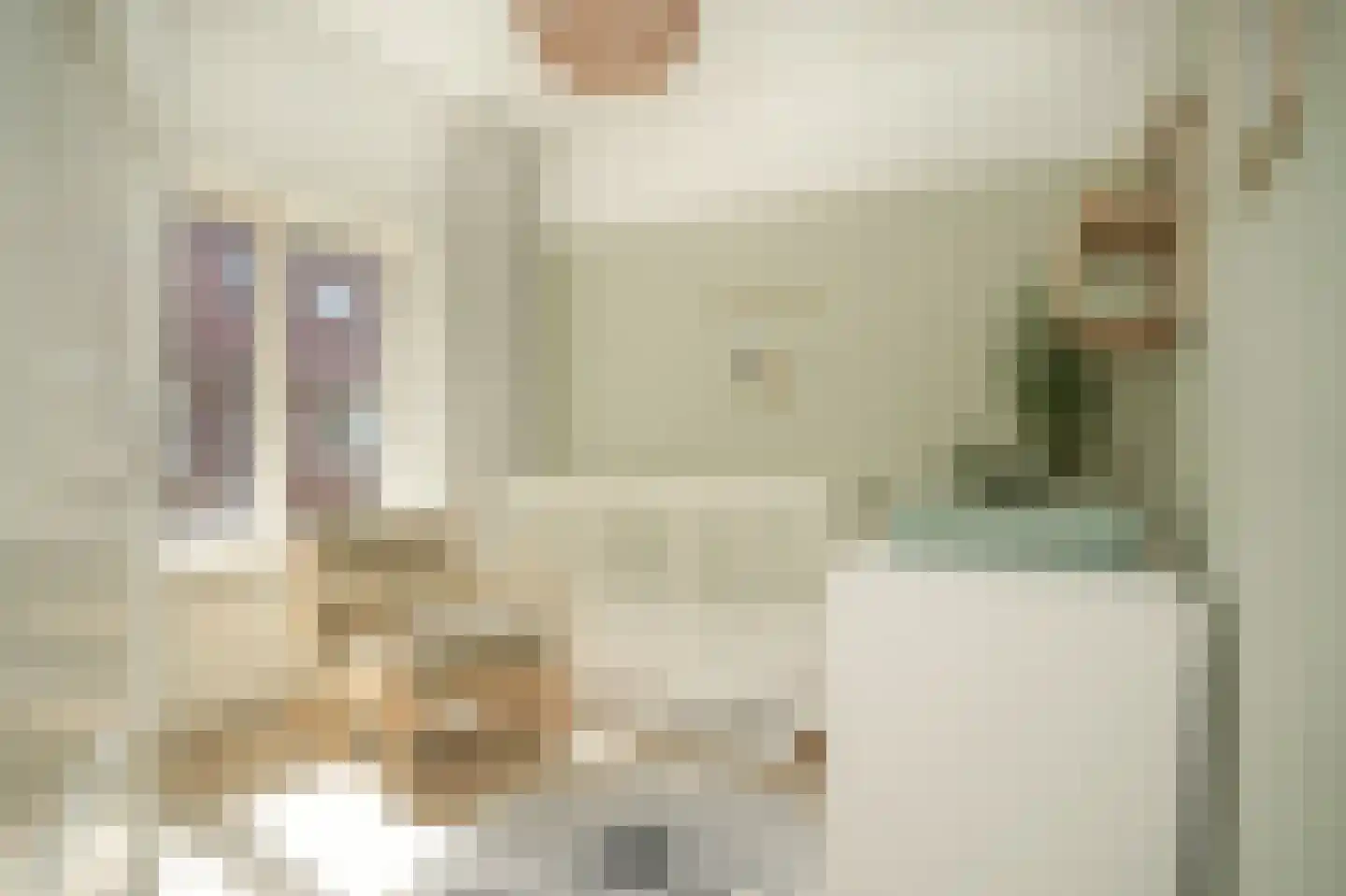 Fregatstraat 63 Utrecht thumbnail 16