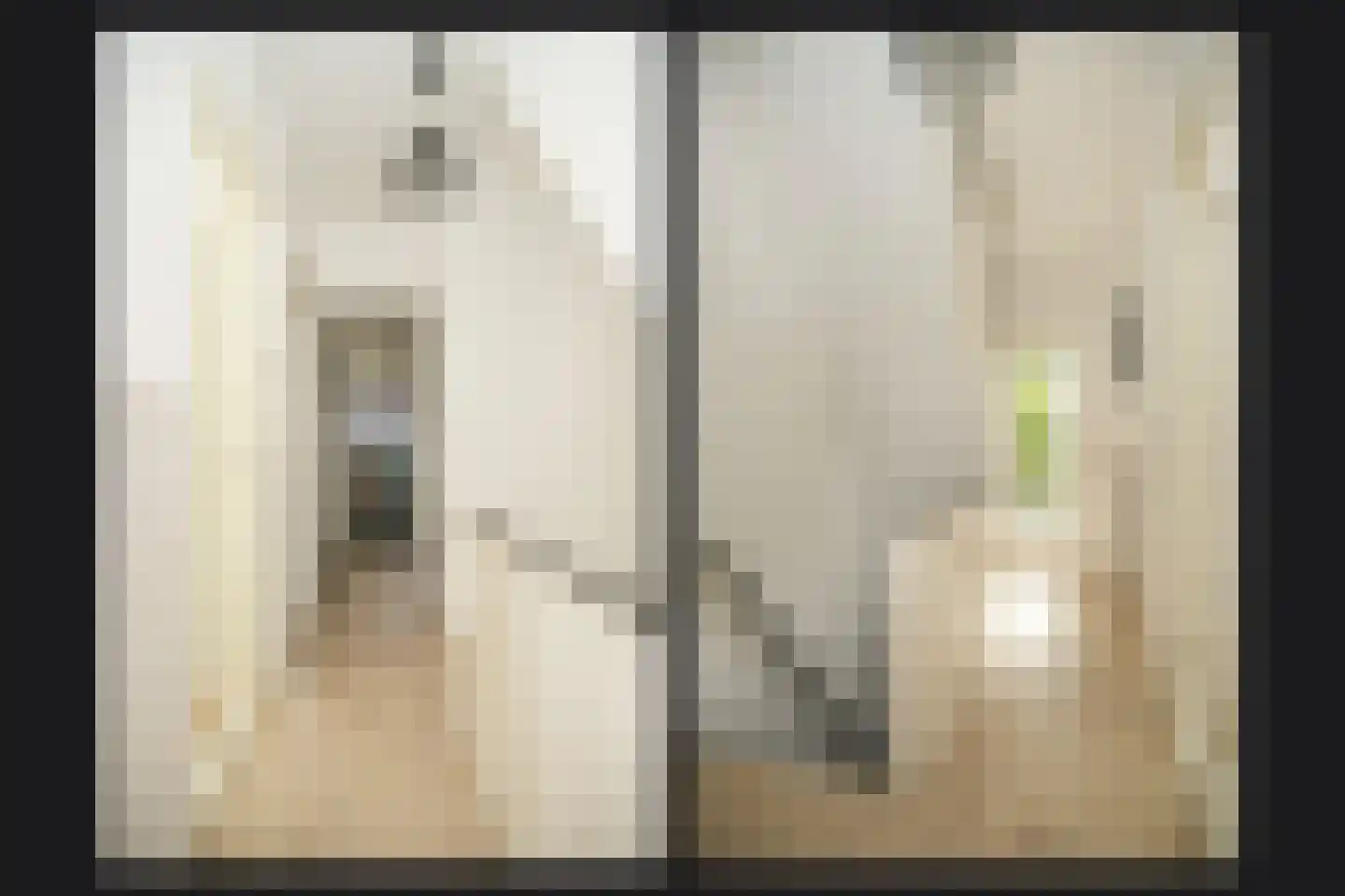 Fregatstraat 63 Utrecht thumbnail 17