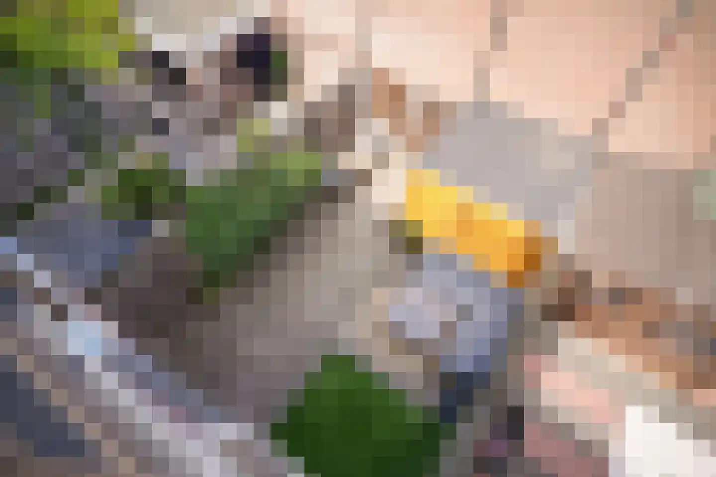 Fregatstraat 63 Utrecht thumbnail 24