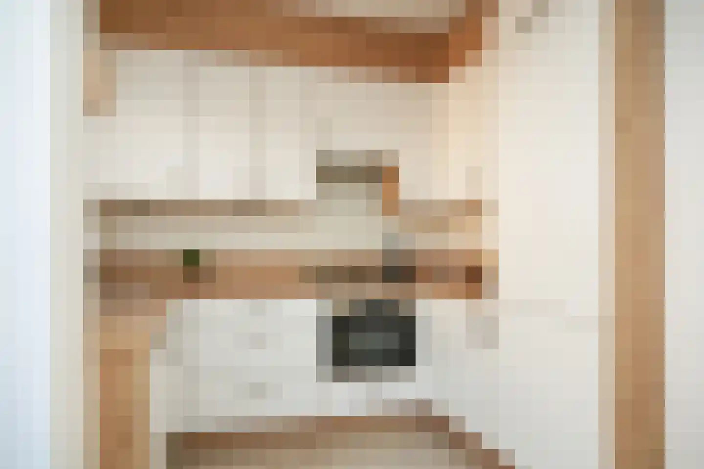Fregatstraat 63 Utrecht thumbnail 5