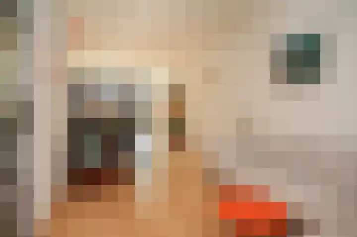 Fregatstraat 94 Utrecht thumbnail 7