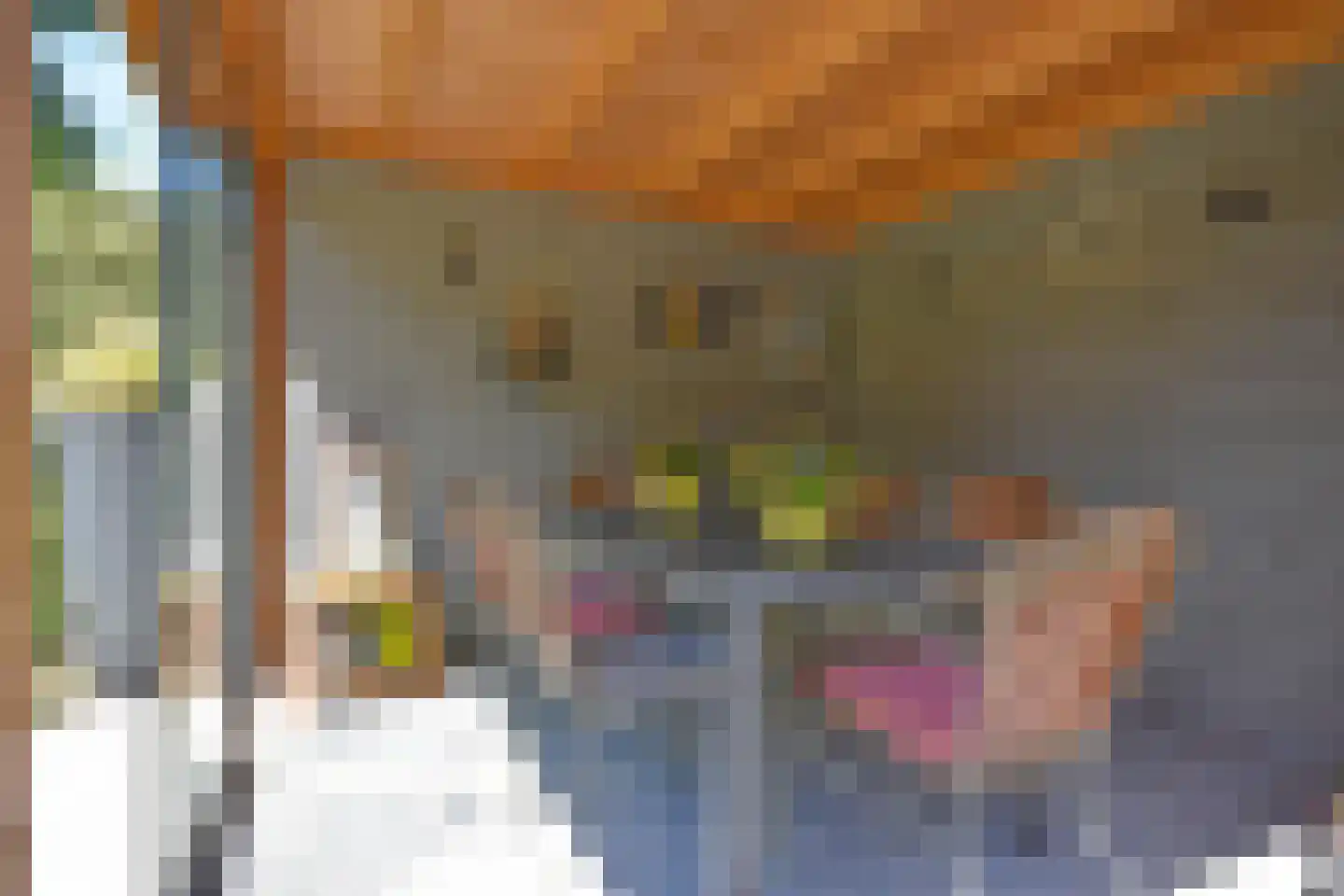 Freiahôf 17 Feanwâlden thumbnail 20