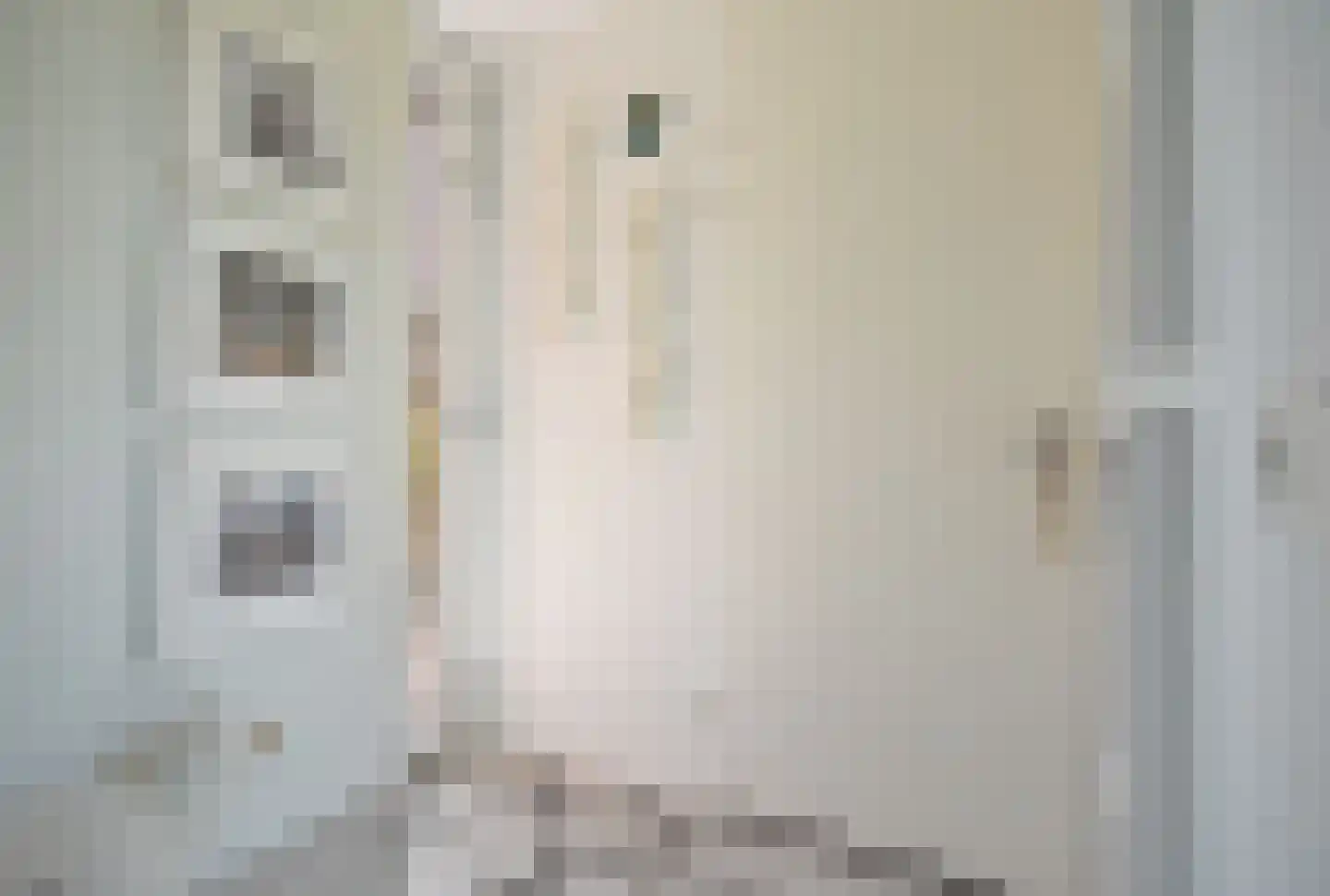 Freiahôf 17 Feanwâlden thumbnail 23