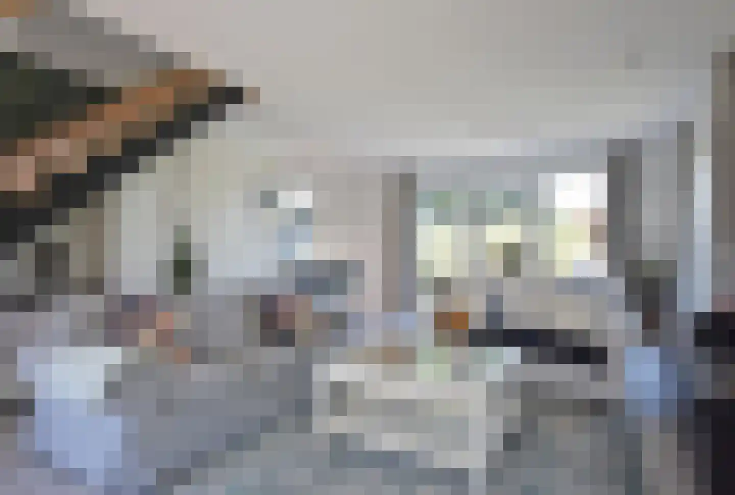 Freiahôf 17 Feanwâlden thumbnail 27