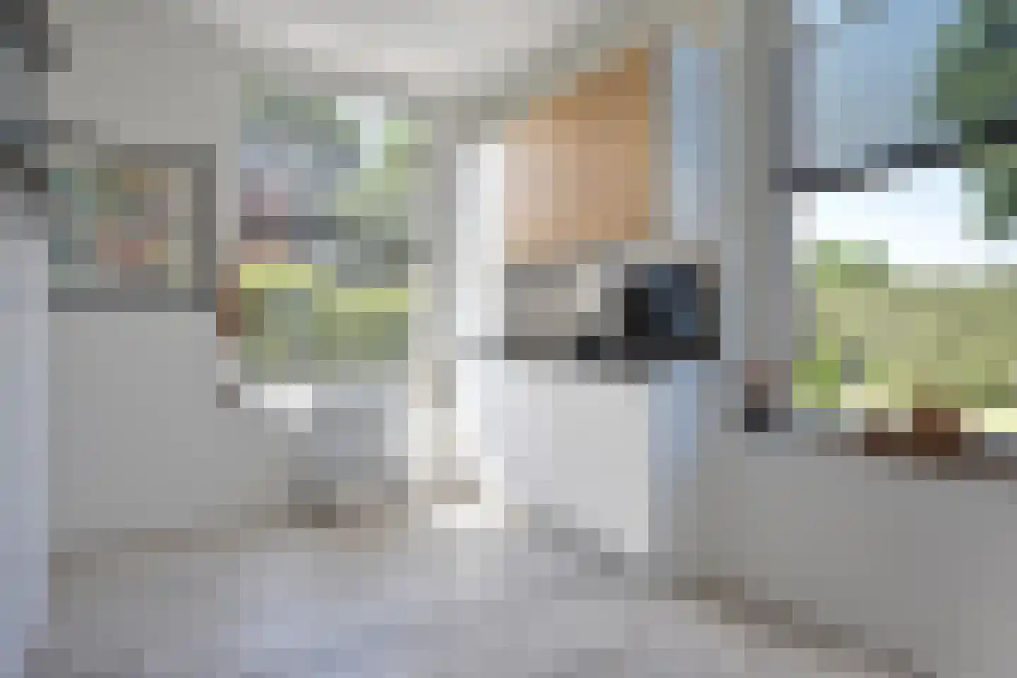 Freiahôf 17 Feanwâlden thumbnail 31