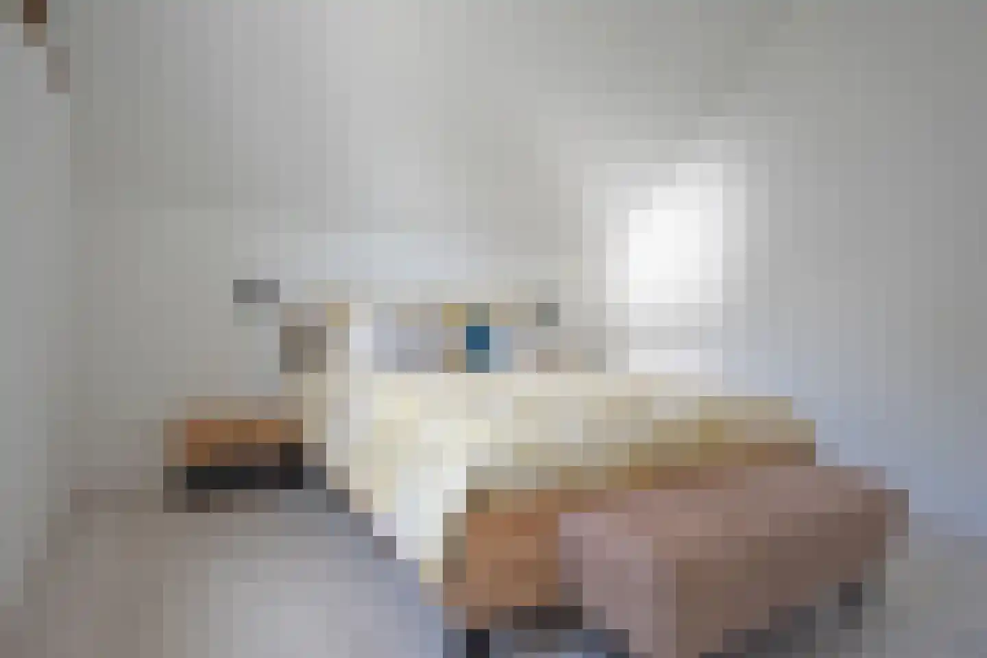 Freiahôf 17 Feanwâlden thumbnail 42
