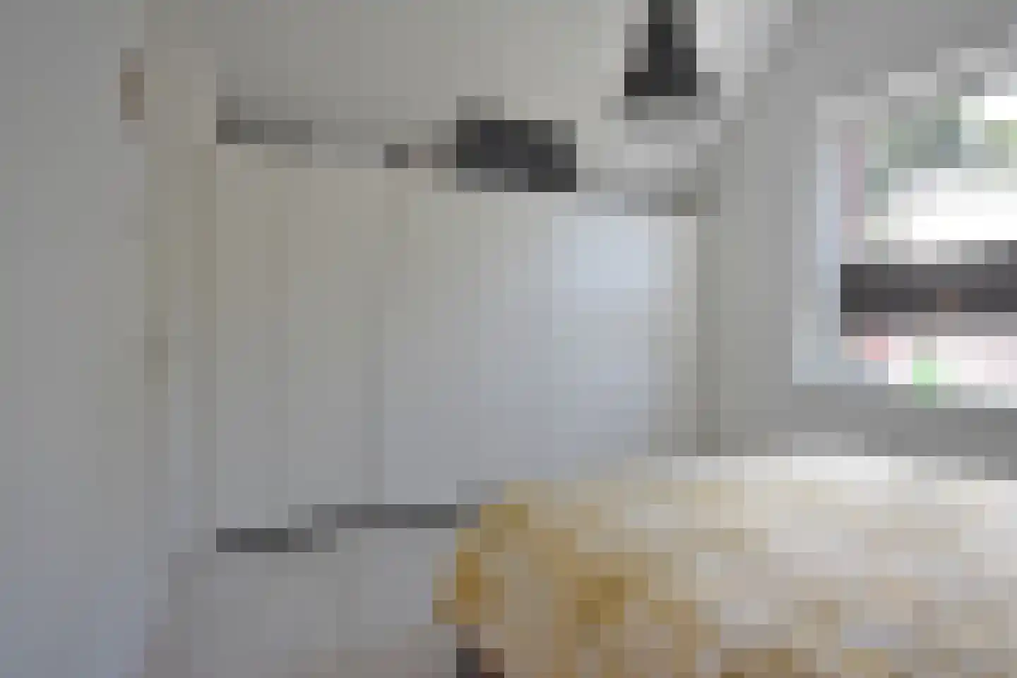 Freiahôf 17 Feanwâlden thumbnail 43
