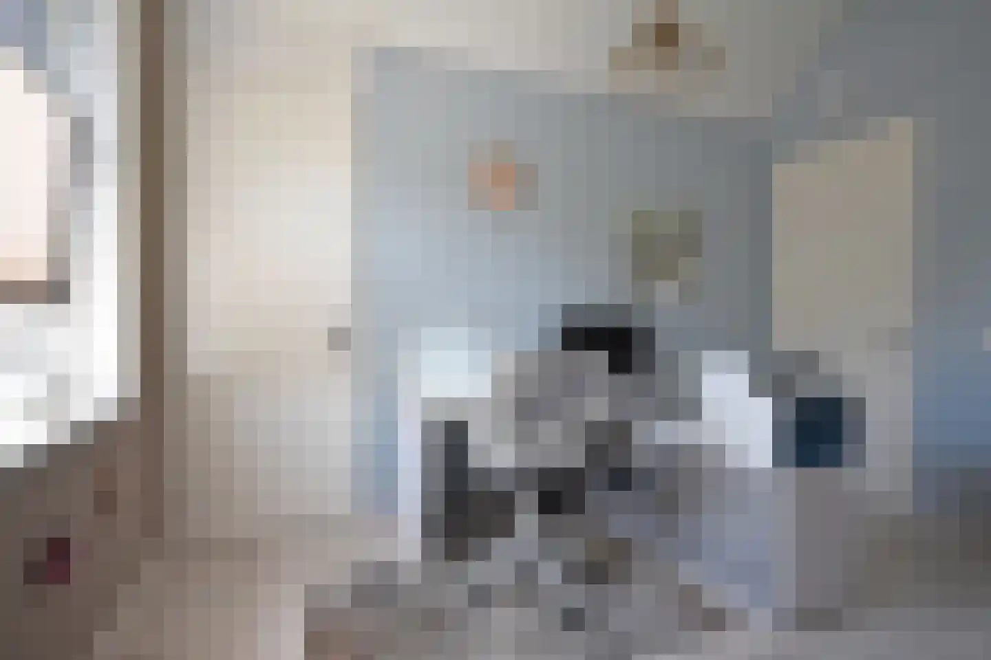 Freiahôf 17 Feanwâlden thumbnail 46