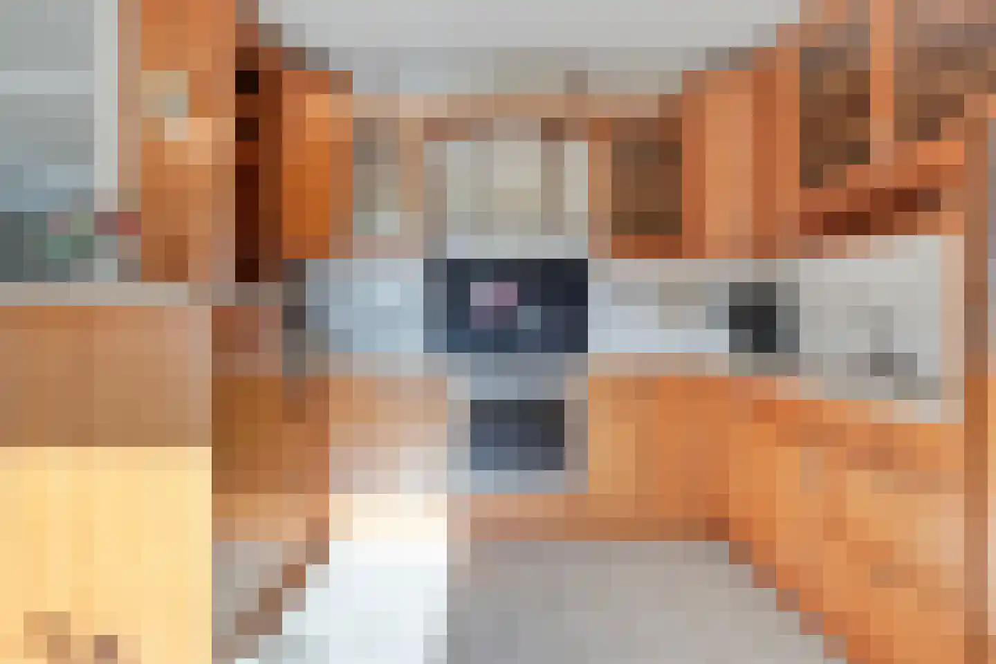 Freiahôf 7 Feanwâlden thumbnail 15