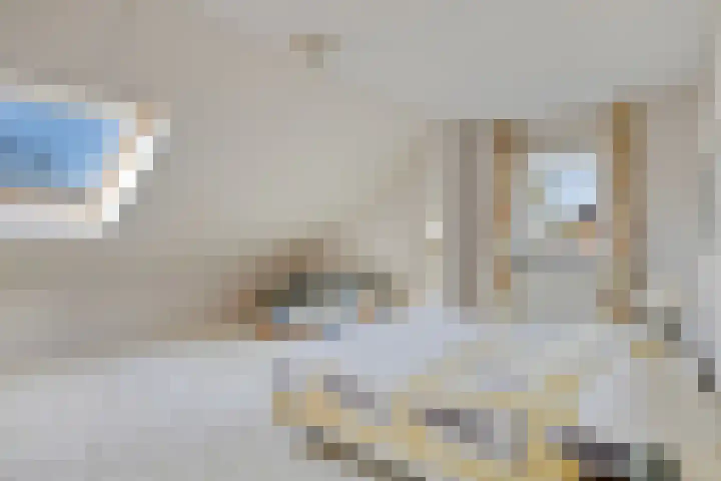 Freiahôf 7 Feanwâlden thumbnail 30