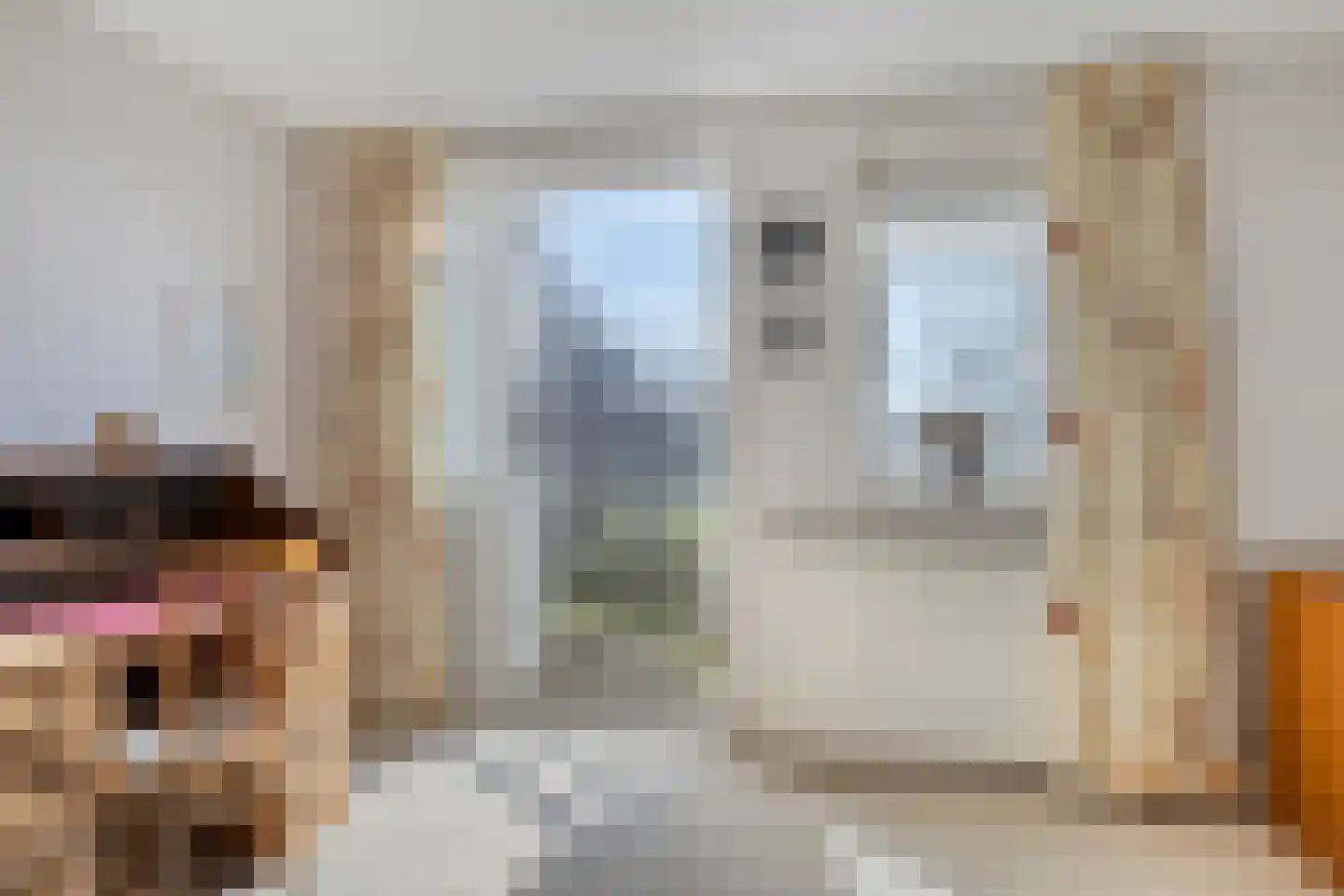 Freiahôf 7 Feanwâlden thumbnail 36