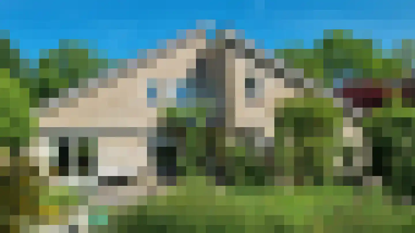 Freiahôf 7 Feanwâlden thumbnail 4