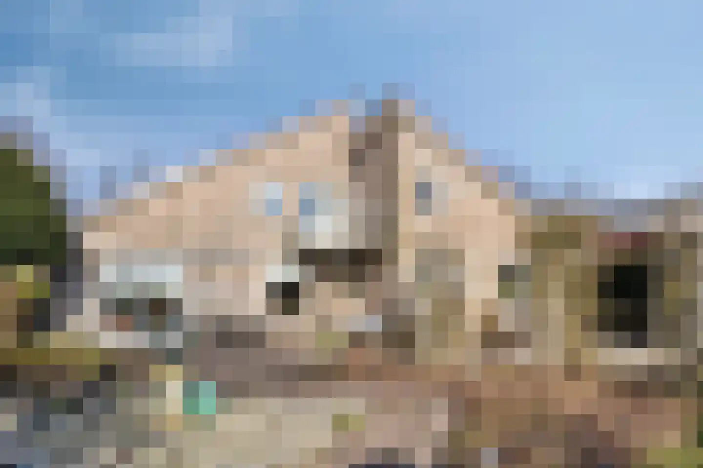 Freiahôf 7 Feanwâlden thumbnail 48
