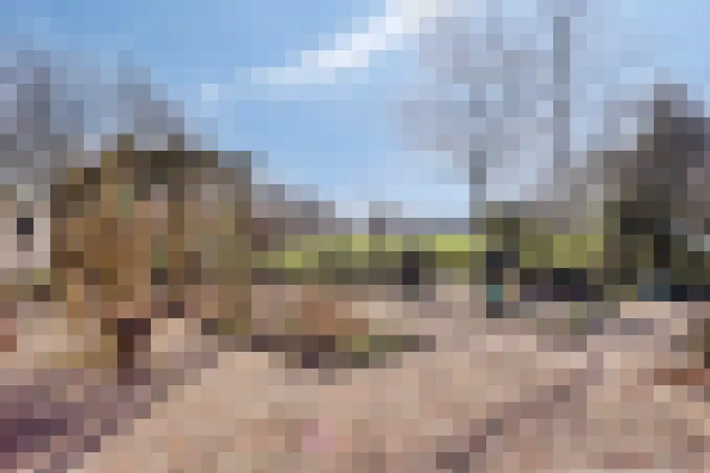 Freiahôf 7 Feanwâlden thumbnail 49