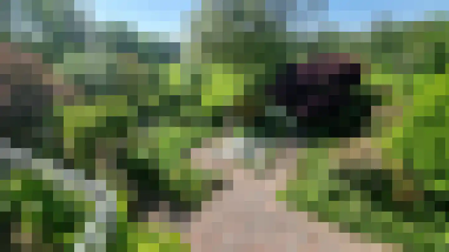 Freiahôf 7 Feanwâlden thumbnail 5
