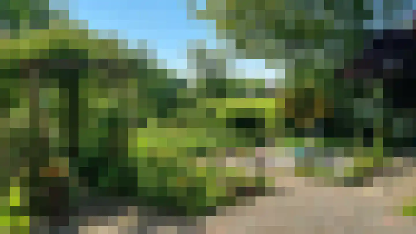 Freiahôf 7 Feanwâlden thumbnail 50