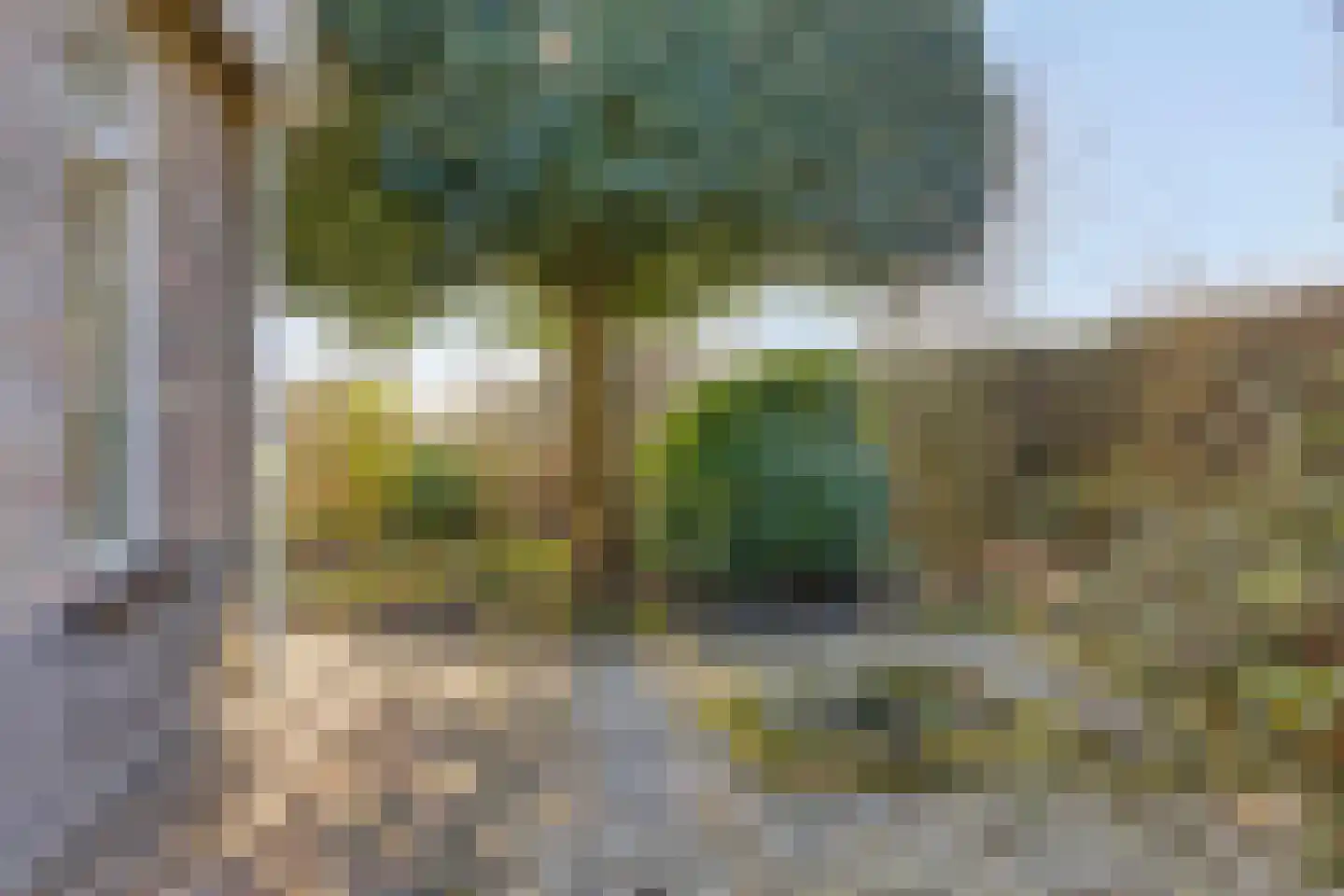 Freiahôf 7 Feanwâlden thumbnail 50
