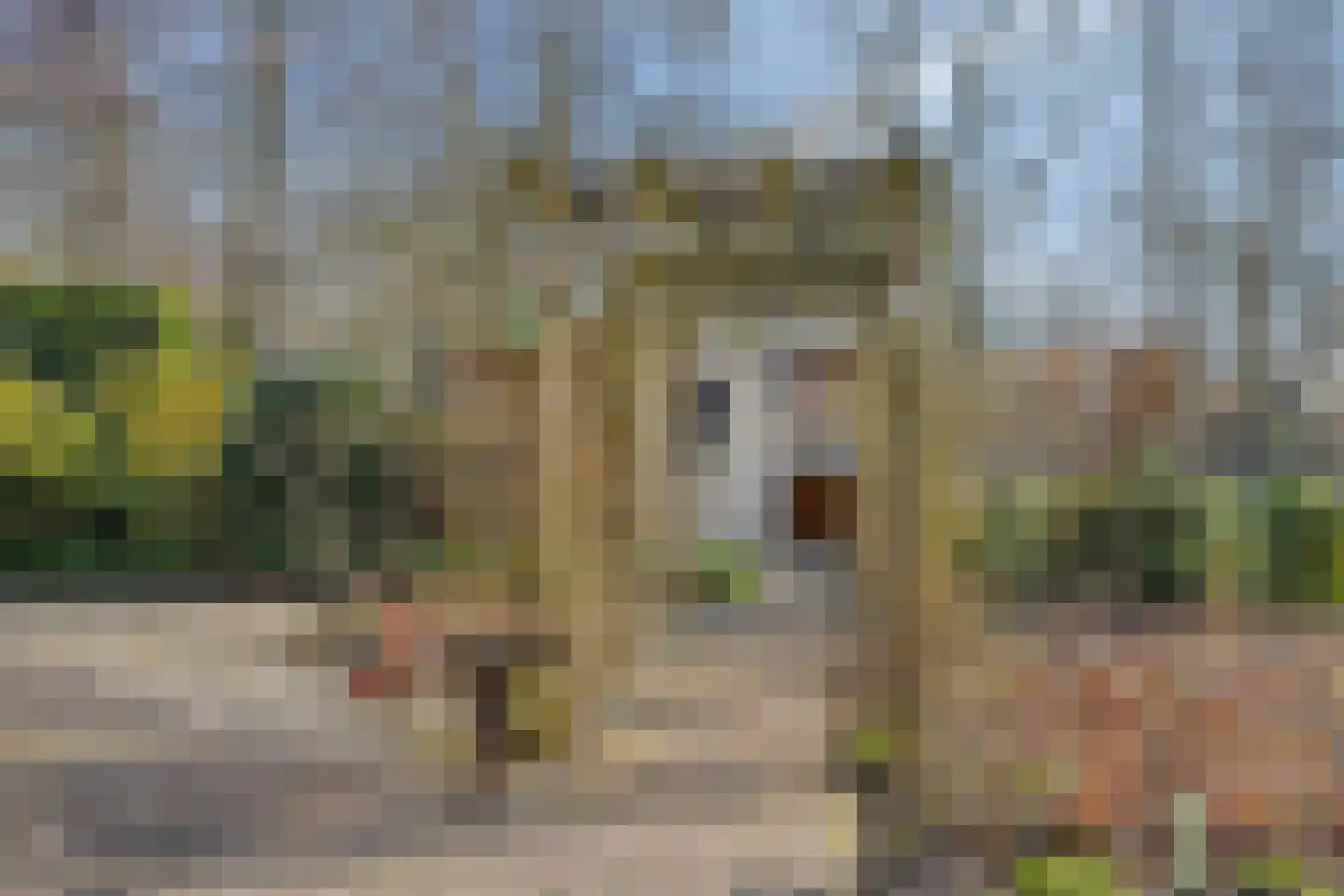 Freiahôf 7 Feanwâlden thumbnail 51