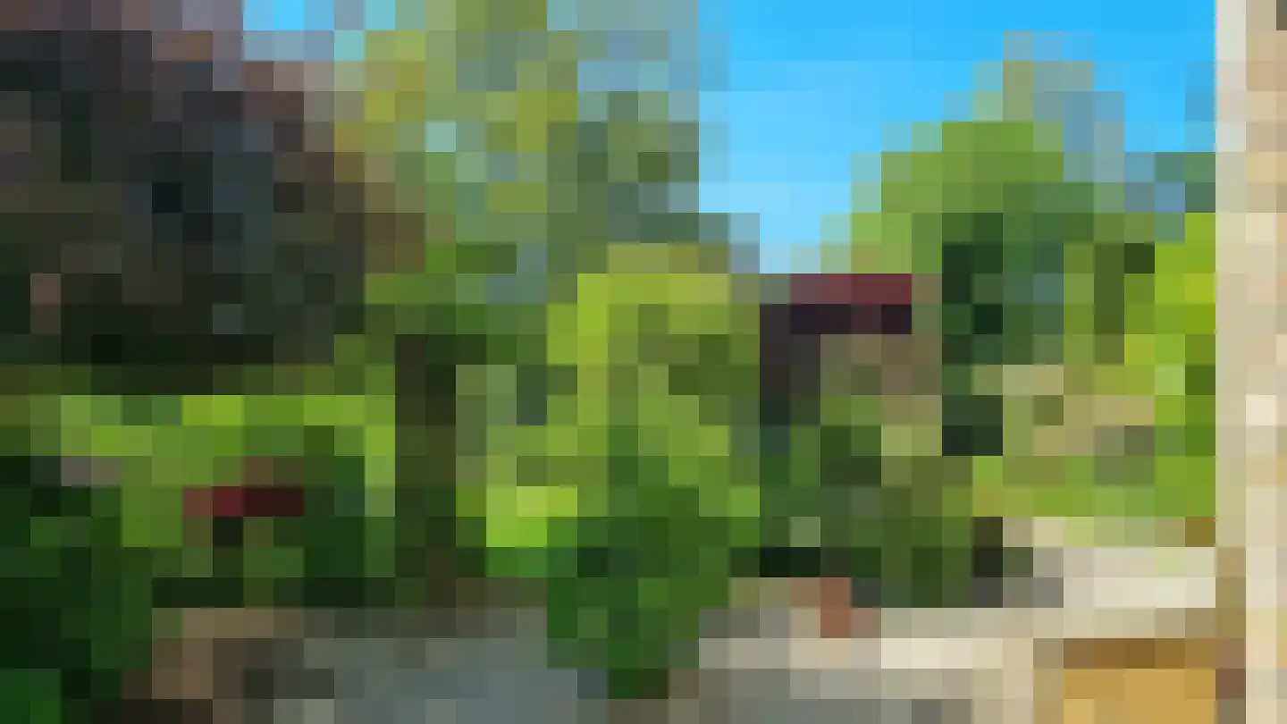 Freiahôf 7 Feanwâlden thumbnail 51