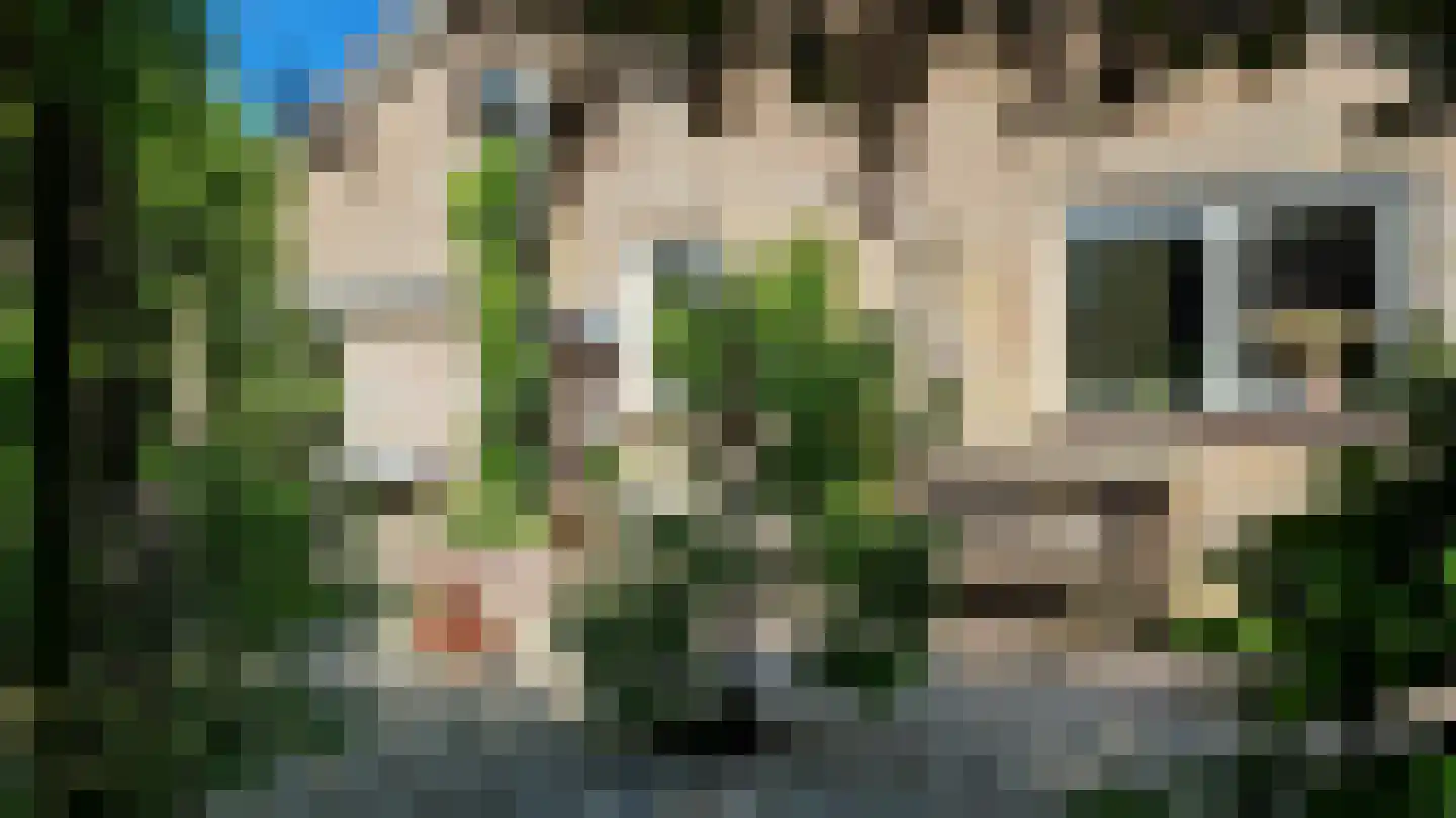 Freiahôf 7 Feanwâlden thumbnail 52