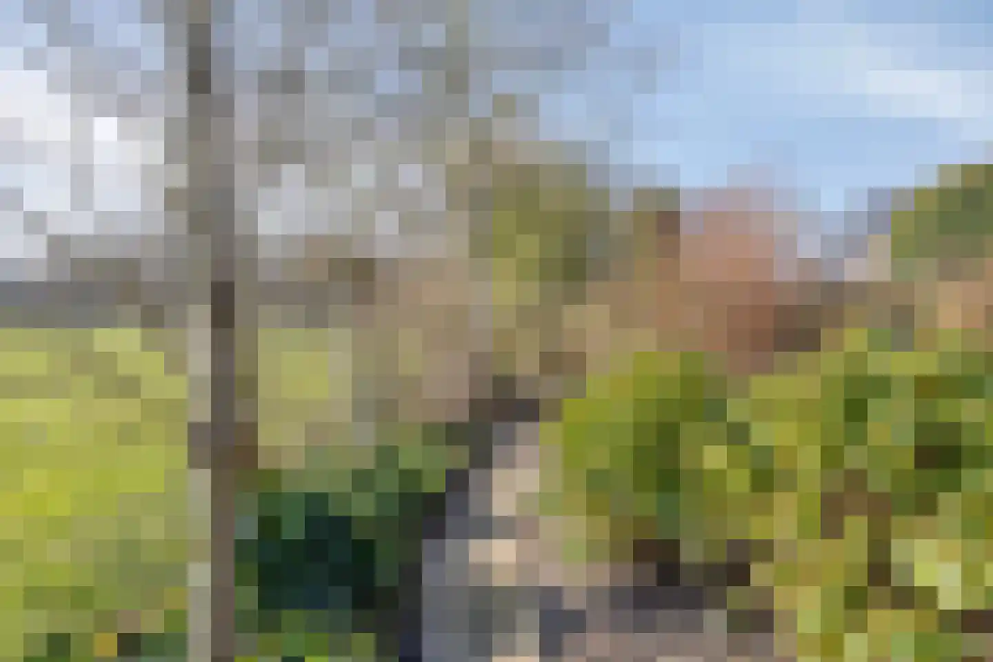 Freiahôf 7 Feanwâlden thumbnail 53