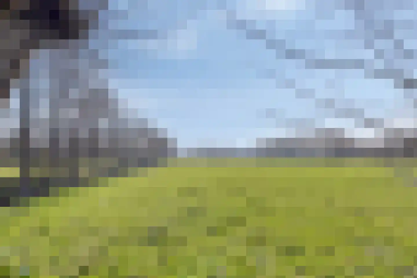 Freiahôf 7 Feanwâlden thumbnail 54