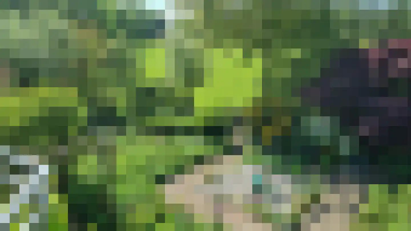 Freiahôf 7 Feanwâlden thumbnail 54