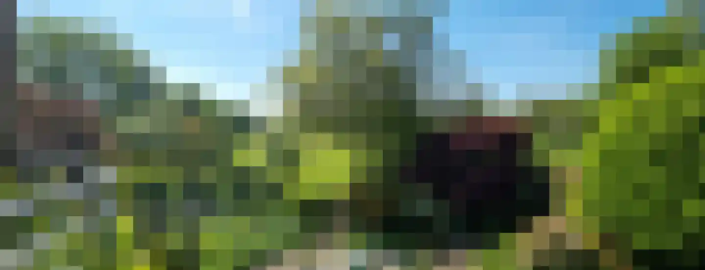 Freiahôf 7 Feanwâlden thumbnail 55