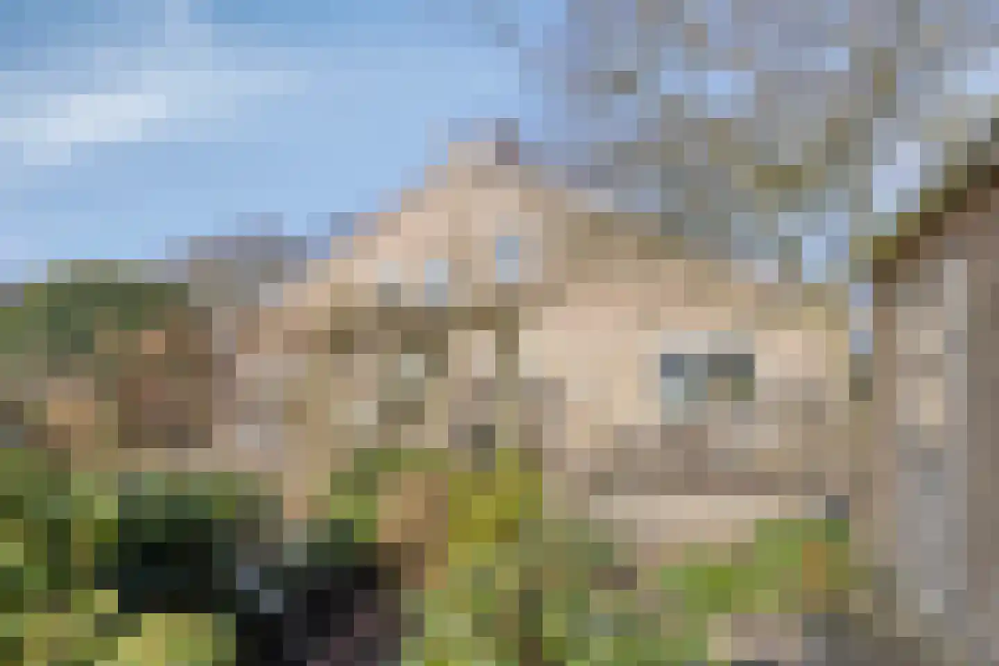 Freiahôf 7 Feanwâlden thumbnail 58