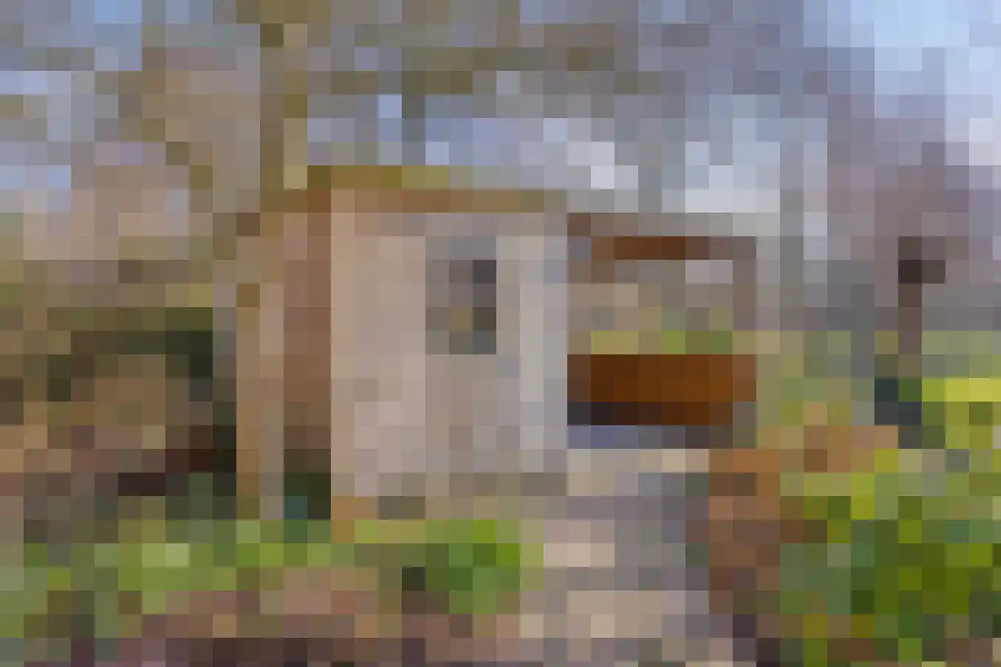 Freiahôf 7 Feanwâlden thumbnail 59