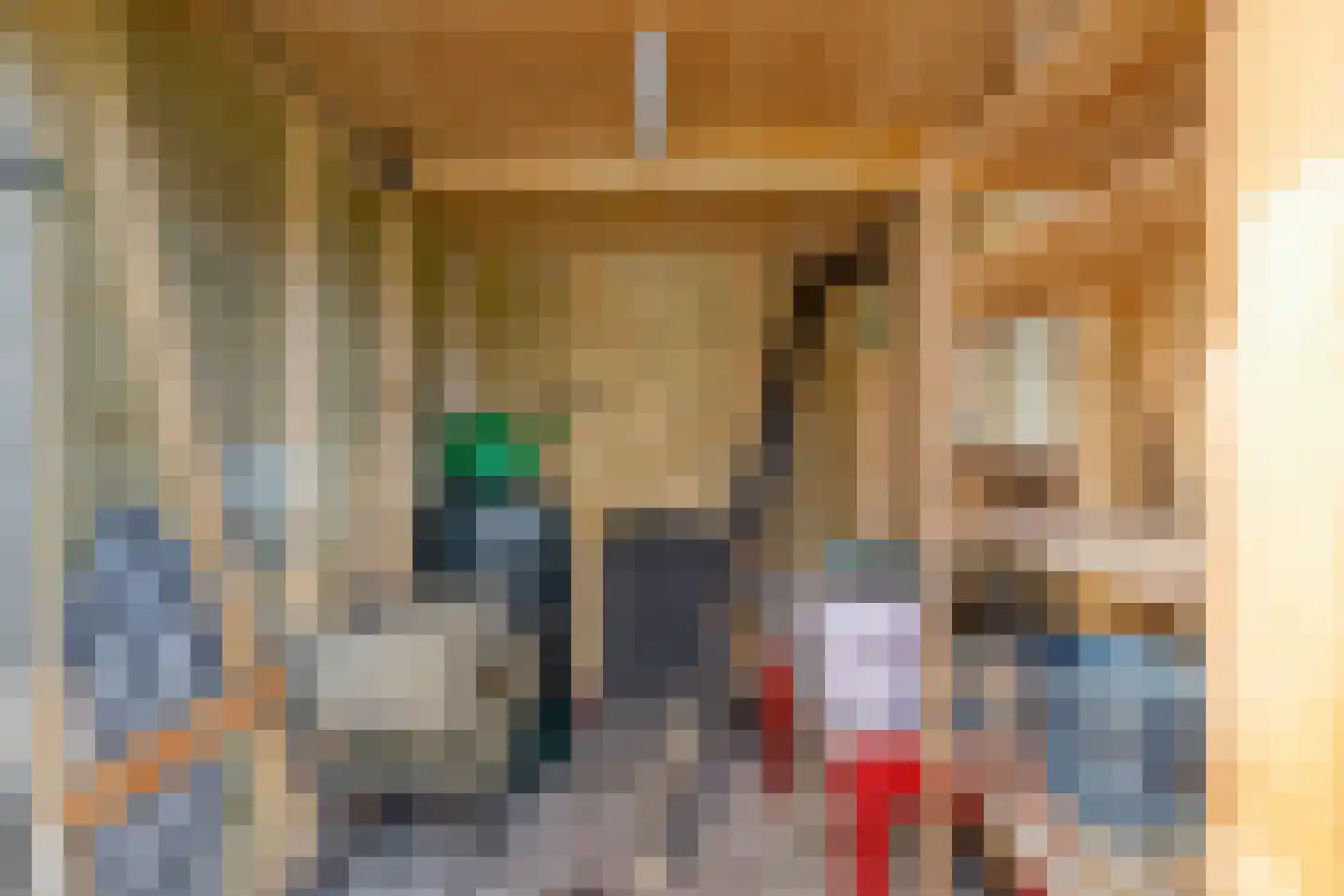 Freiahôf 7 Feanwâlden thumbnail 60