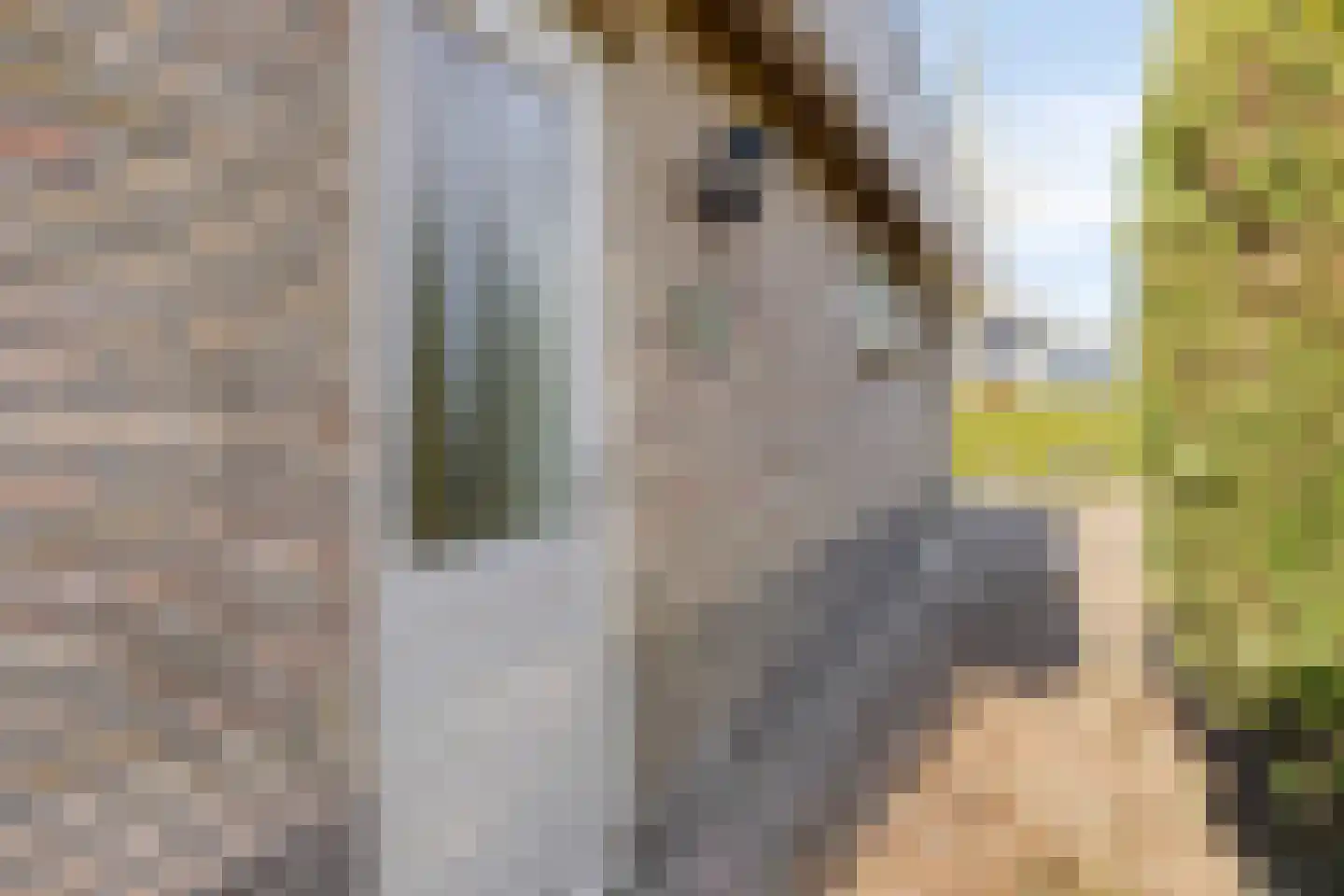 Freiahôf 7 Feanwâlden thumbnail 61