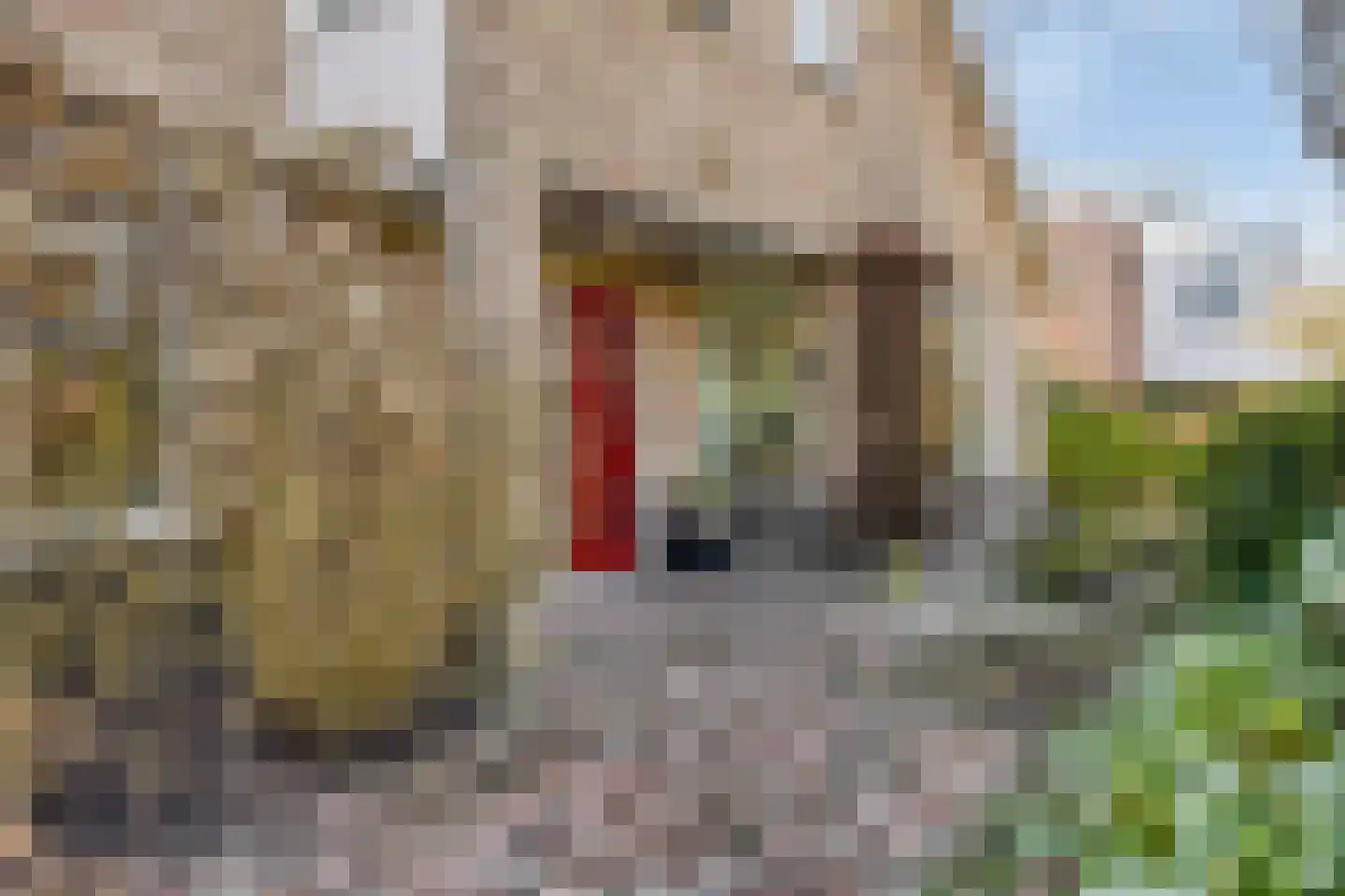 Freiahôf 7 Feanwâlden thumbnail 62