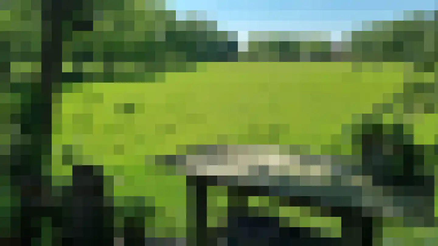 Freiahôf 7 Feanwâlden thumbnail 64