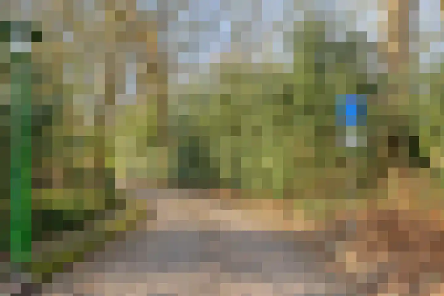 Freiahôf 7 Feanwâlden thumbnail 70