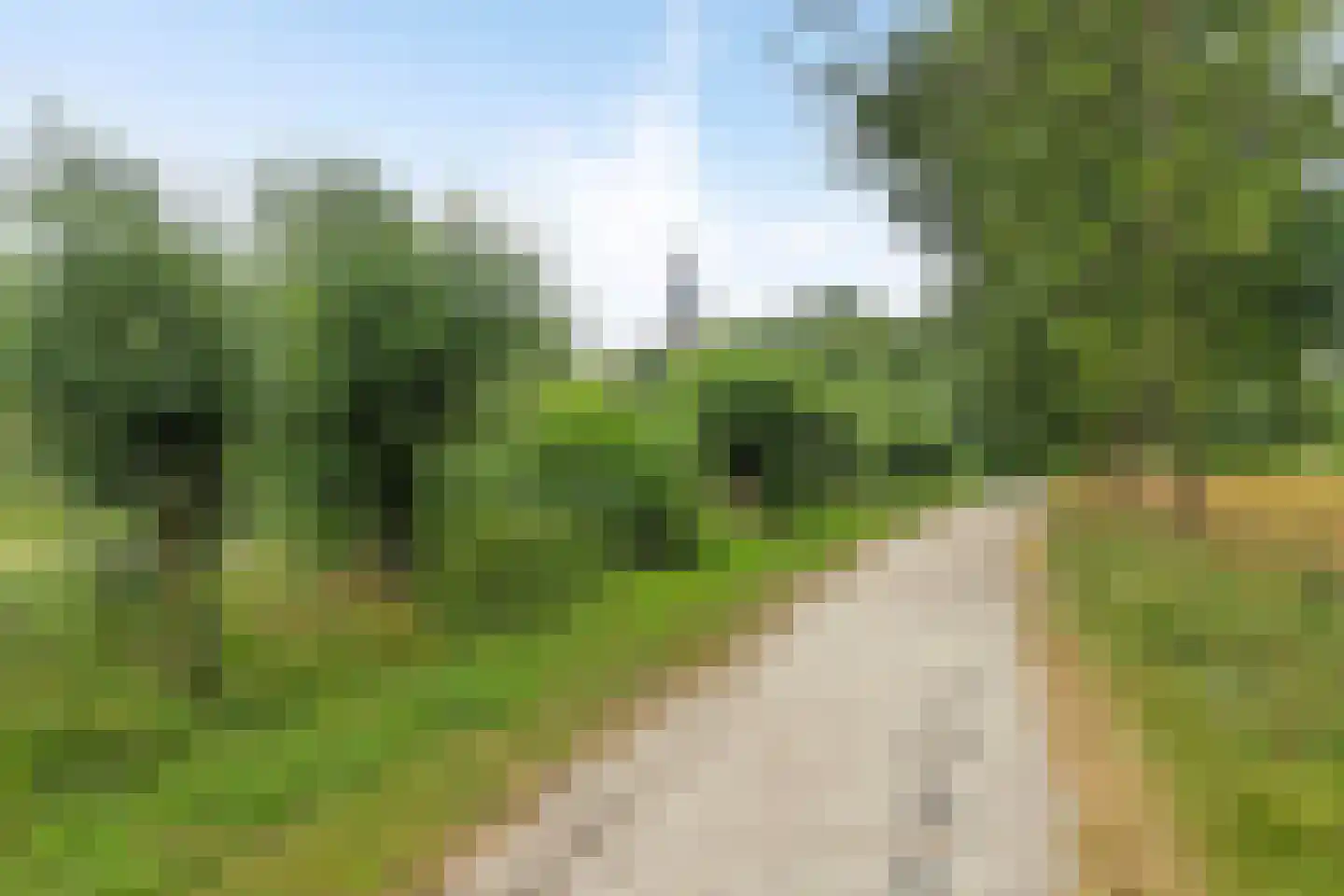 Freijaholm 41 Schiedam thumbnail 42