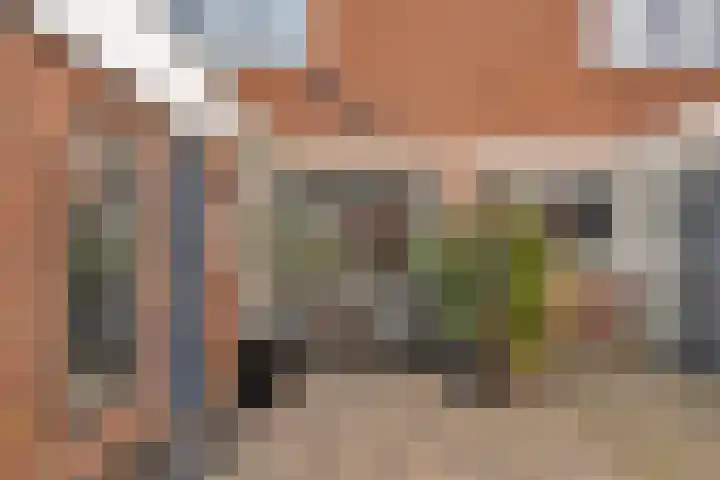 Frenkelpad 16 Schiedam thumbnail 10