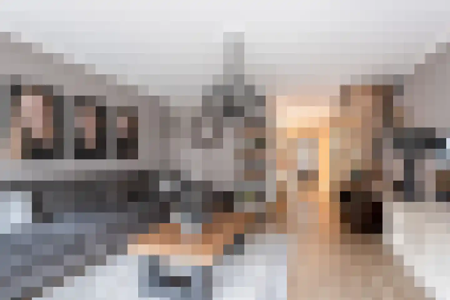 Frenkelpad 16 Schiedam thumbnail 12
