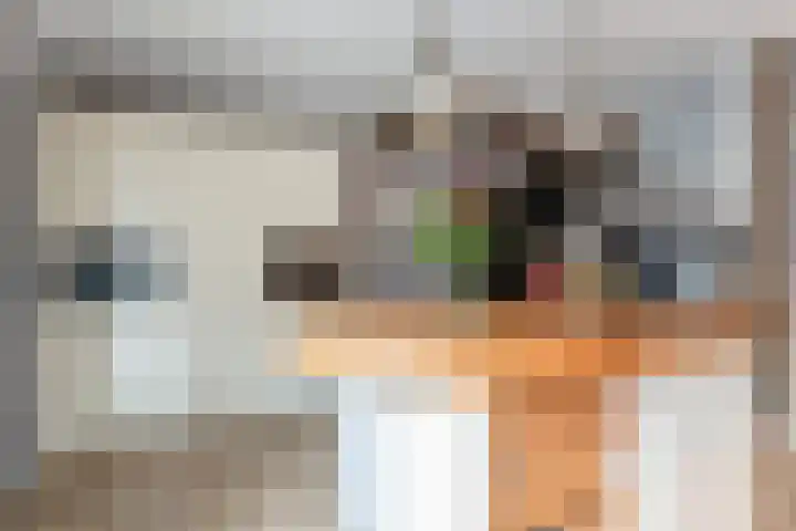 Frenkelpad 16 Schiedam thumbnail 20