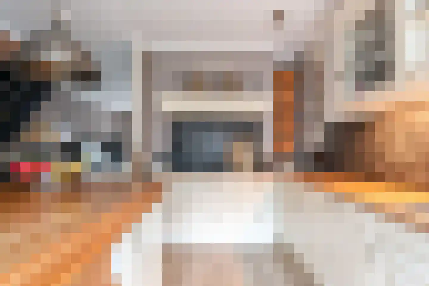 Frenkelpad 16 Schiedam thumbnail 21