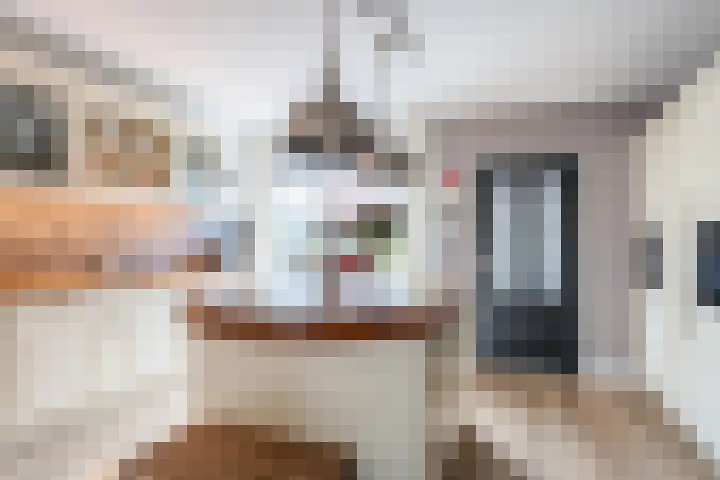 Frenkelpad 16 Schiedam thumbnail 23