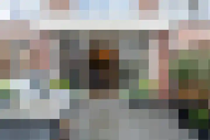 Frenkelpad 16 Schiedam thumbnail 27