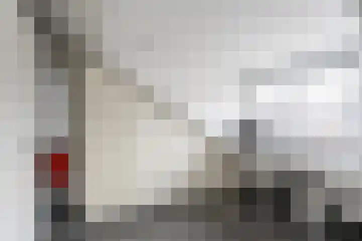 Frenkelpad 16 Schiedam thumbnail 34