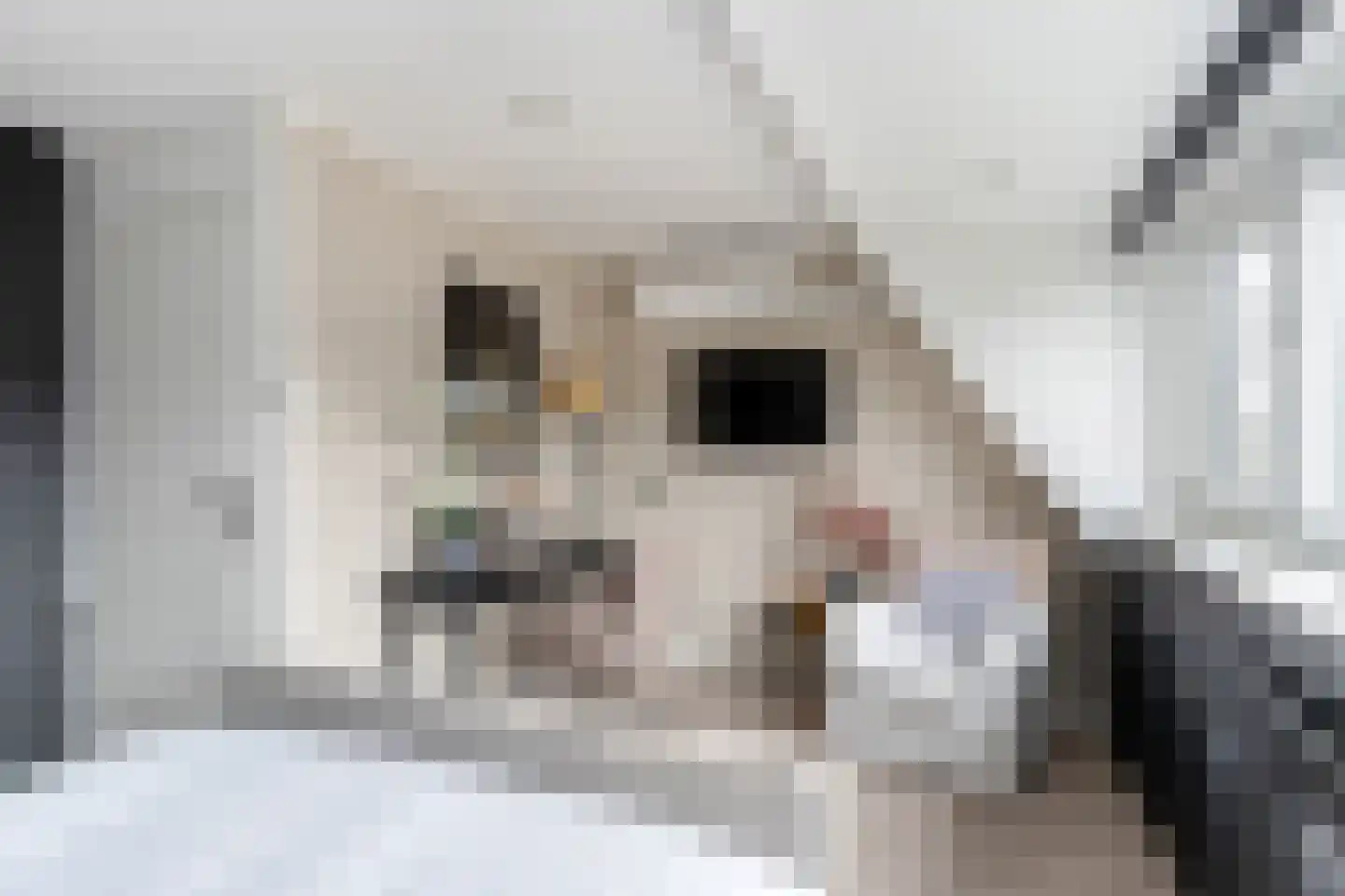 Frenkelpad 16 Schiedam thumbnail 36