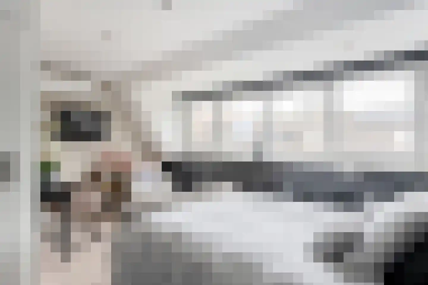 Frenkelpad 16 Schiedam thumbnail 37