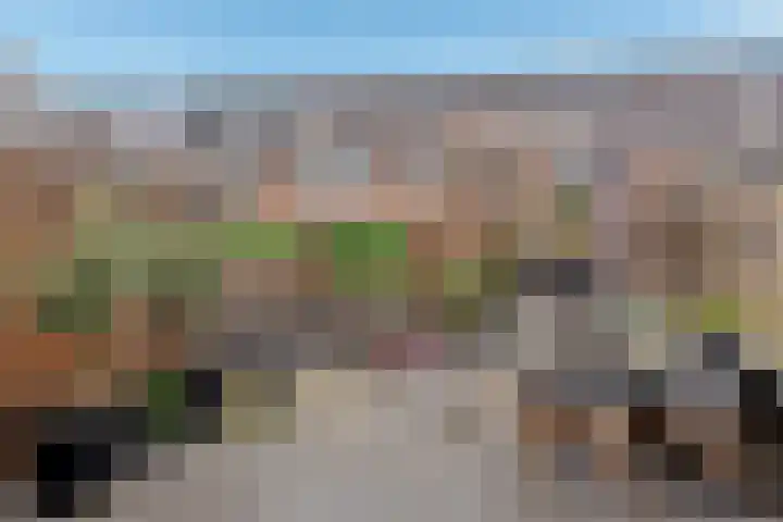 Frenkelpad 16 Schiedam thumbnail 5