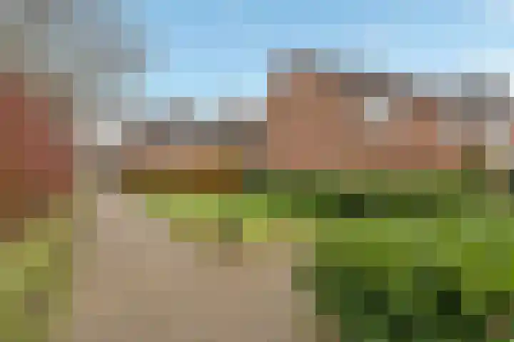 Frenkelpad 16 Schiedam thumbnail 6