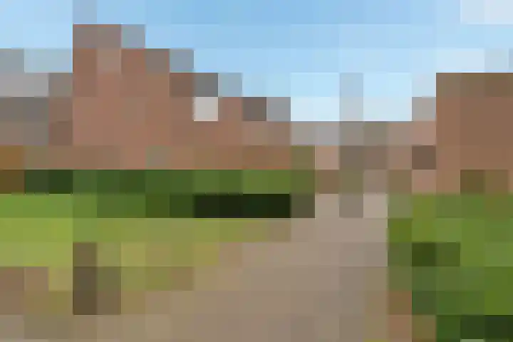 Frenkelpad 16 Schiedam thumbnail 7